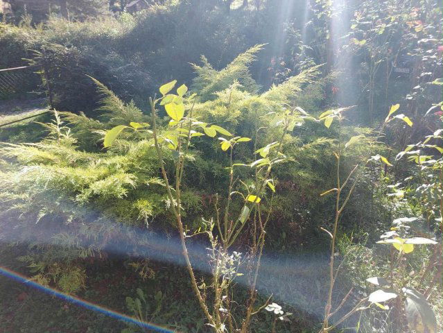 Eladó nyaraló, Kökényen 13.9 M Ft, 1 szobás