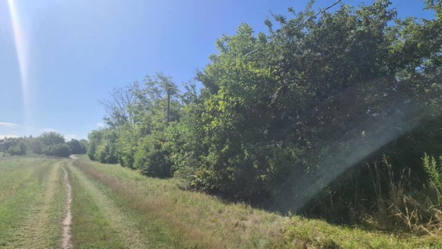 Eladó telek, Győrött 99.9 M Ft / költözzbe.hu