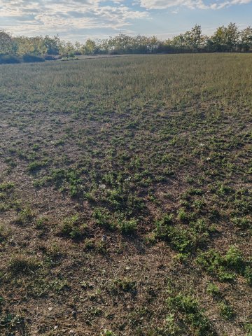 Eladó telek, Kengyelen 2.4 M Ft / költözzbe.hu