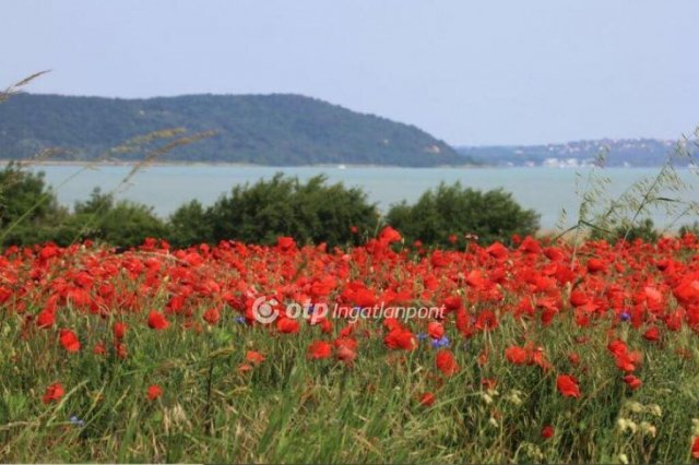 Eladó telek, Balatonudvariban 65 M Ft / költözzbe.hu