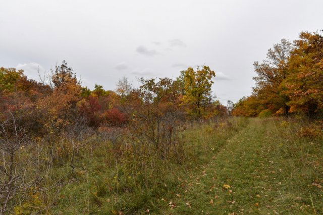 Eladó telek, Pécselyen 19.99 M Ft / költözzbe.hu