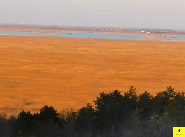 Eladó családi ház, Fertőbozon 84 M Ft, 3 szobás