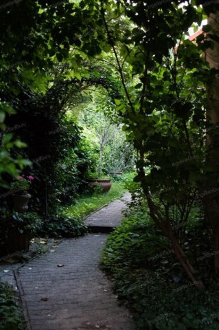 Kiadó családi ház, albérlet, Kecskeméten 800 E Ft / hó