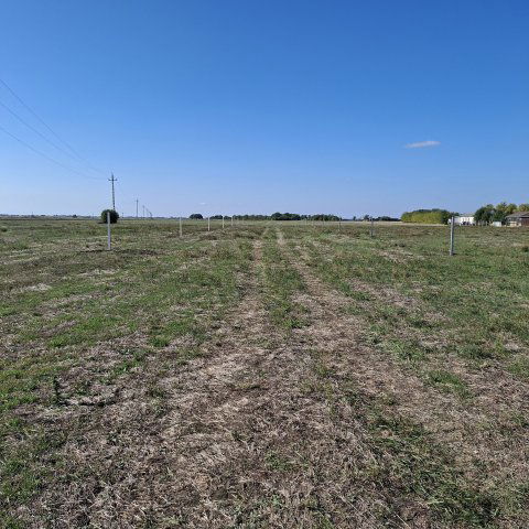 Eladó telek, Tószegen 8.653 M Ft / költözzbe.hu