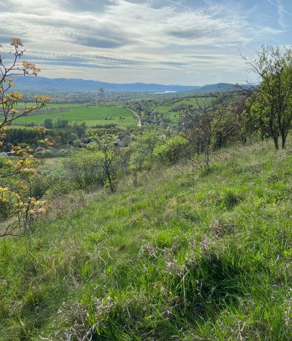 Eladó telek, Vácon 14.9 M Ft / költözzbe.hu