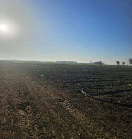 Eladó mezogazdasagi ingatlan, Telekgerendáson 17.5 M Ft