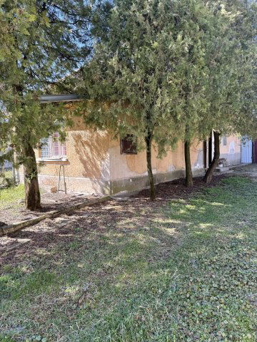 Eladó családi ház, Bodrogkisfaludon 16 M Ft, 1 szobás
