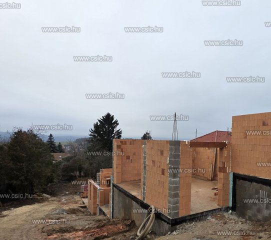 Eladó ikerház, Pilisborosjenőn 132.9 M Ft, 4 szobás