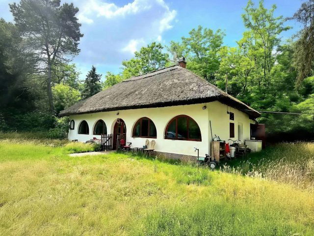 Eladó mezogazdasagi ingatlan, Kunadacson 34.9 M Ft