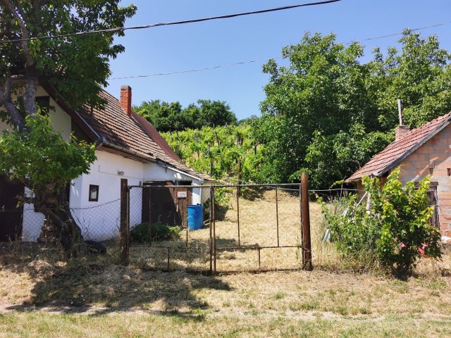 Eladó mezogazdasagi ingatlan, Szekszárdon, Cinka utcában 4.9 M Ft