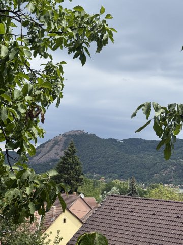Eladó családi ház, Nagymaroson 99.9 M Ft, 7+1 szobás