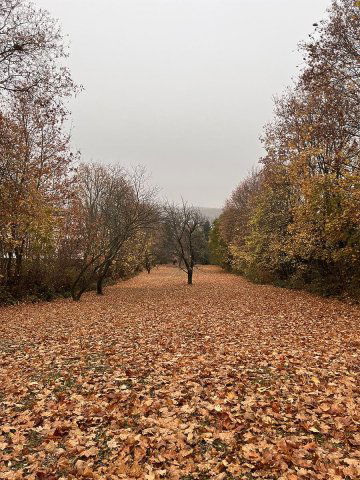 Eladó telek, Budapesten, III. kerületben 500 M Ft