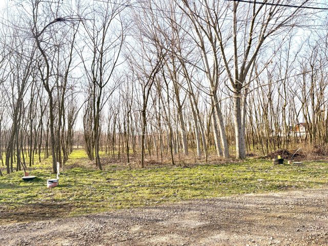 Eladó telek, Újfehértón 13 M Ft / költözzbe.hu