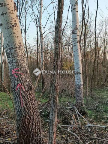 Eladó mezogazdasagi ingatlan, Kerekegyházán 140 M Ft, 1 szobás