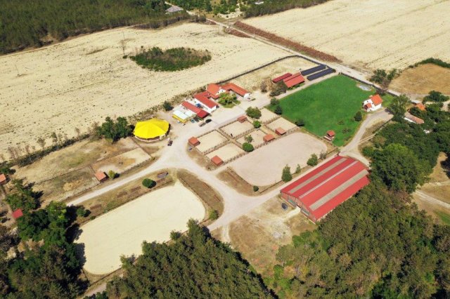 Eladó üzlethelyiség, Izsákon 354 M Ft, 8 szobás