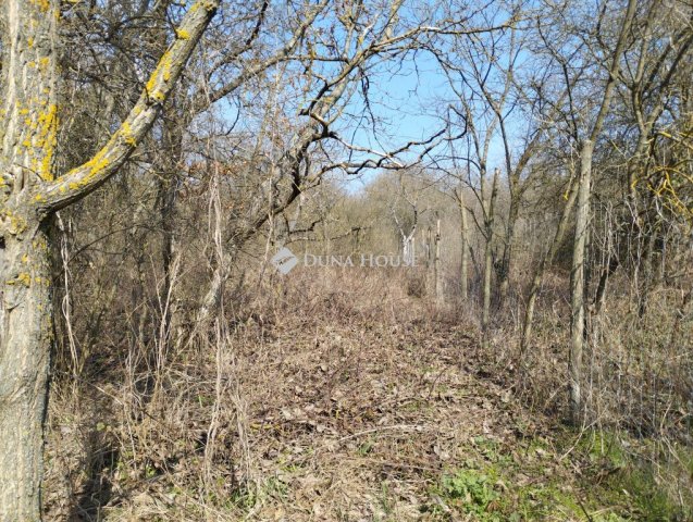 Eladó telek, Őrbottyánban 18 M Ft / költözzbe.hu