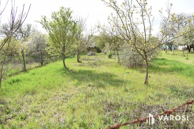 Eladó mezogazdasagi ingatlan, Gyulán 2.8 M Ft