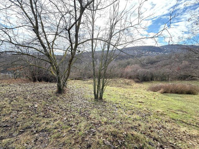 Eladó telek, Pécsett 12.9 M Ft / költözzbe.hu