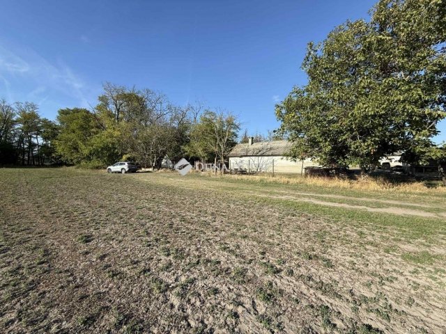 Eladó mezogazdasagi ingatlan, Orgoványon 79.9 M Ft, 3 szobás