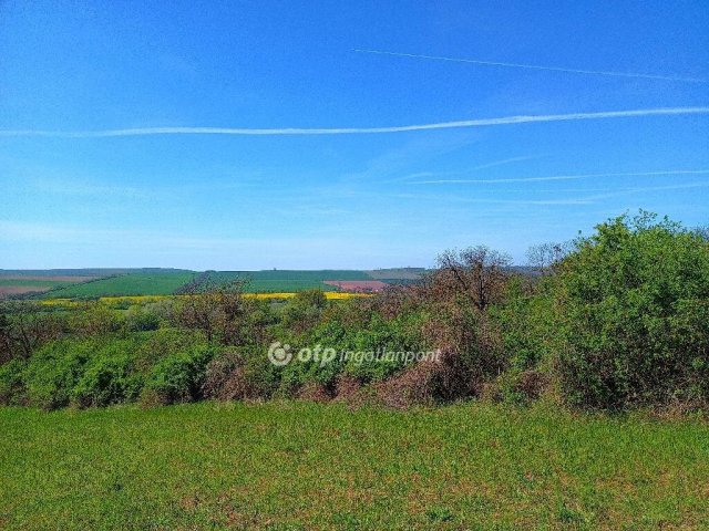Eladó telek, Aszódon 41 M Ft / költözzbe.hu