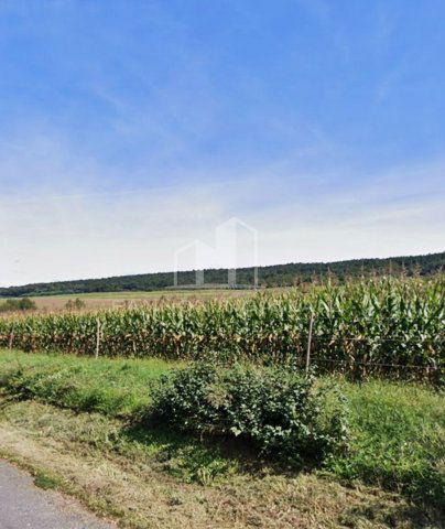 Eladó telek, Vigántpetenden 2.9 M Ft / költözzbe.hu