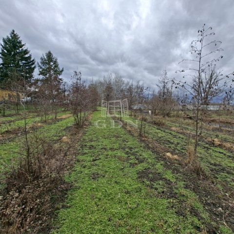 Eladó mezogazdasagi ingatlan, Nagyigmándon 23 M Ft