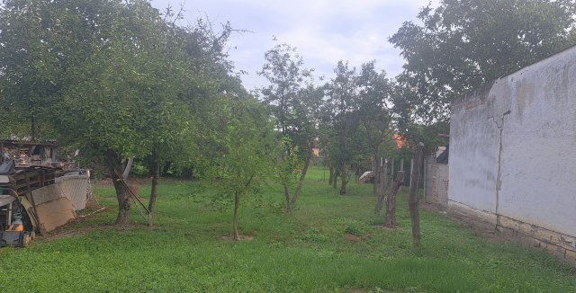 Eladó családi ház, Gyulán, Görbe utcában 35.9 M Ft, 3 szobás