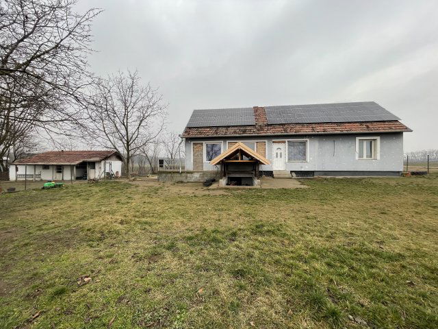 Eladó mezogazdasagi ingatlan, Alsónémediben 149.9 M Ft