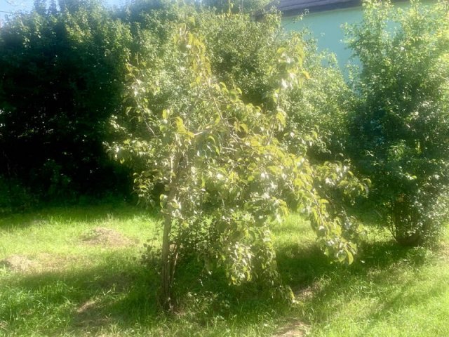 Eladó családi ház, Piliscséven 49.9 M Ft, 3 szobás