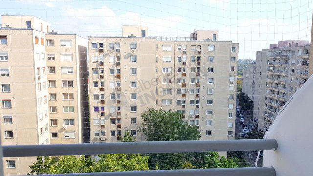 Kiadó panellakás, albérlet, XI. kerületben, Regős utcában