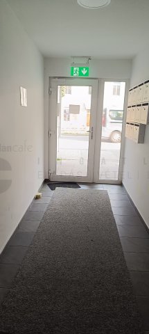 Kiadó üzlethelyiség, Szegeden 308 E Ft / hó