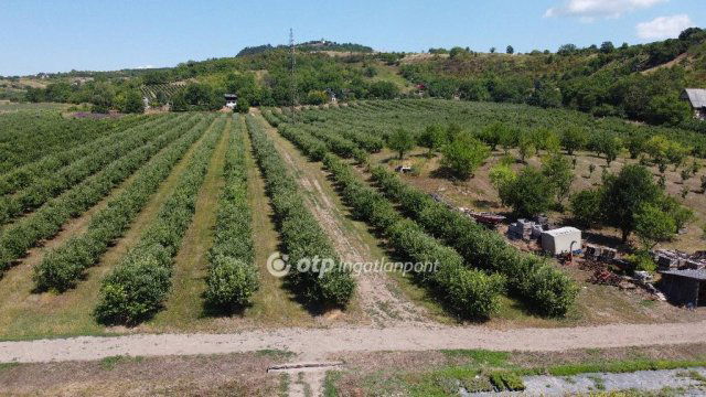 Eladó mezogazdasagi ingatlan, Putnokon 390 M Ft