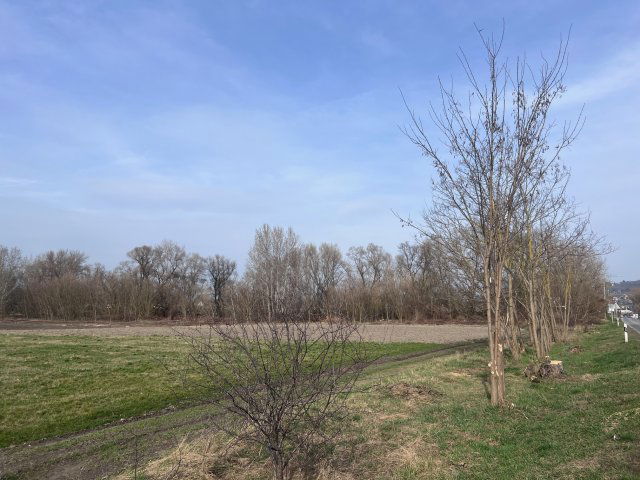 Eladó mezogazdasagi ingatlan, Esztergomban, Táti úton 13.9 M Ft