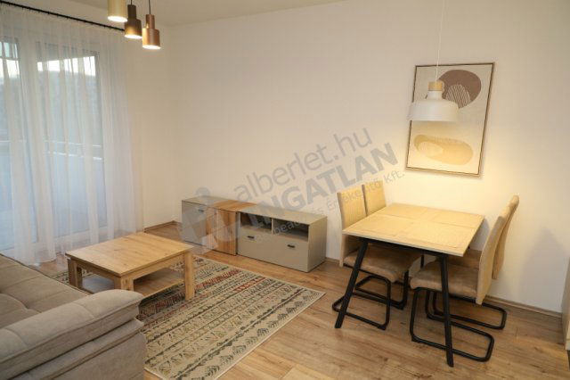 Kiadó téglalakás, albérlet, Budapesten, XI. kerületben