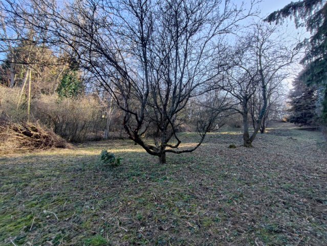 Eladó telek, Tahitótfalun 29 M Ft / költözzbe.hu