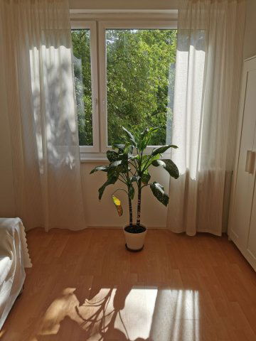 Kiadó panellakás, albérlet, Debrecenben 320 E Ft / hó, 3 szobás