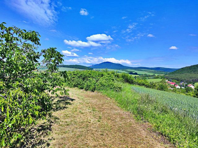 Eladó telek, Rádon 29.9 M Ft / költözzbe.hu