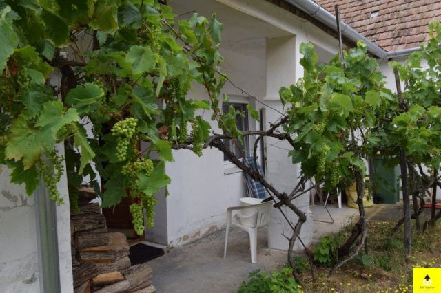 Eladó családi ház, Bükön 19.55 M Ft, 3 szobás