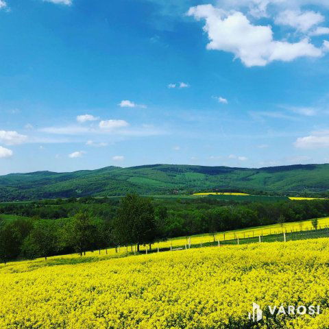 Eladó telek, Kőszegdoroszlón 19.9 M Ft / költözzbe.hu