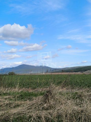 Eladó mezogazdasagi ingatlan, Vácon 7.5 M Ft