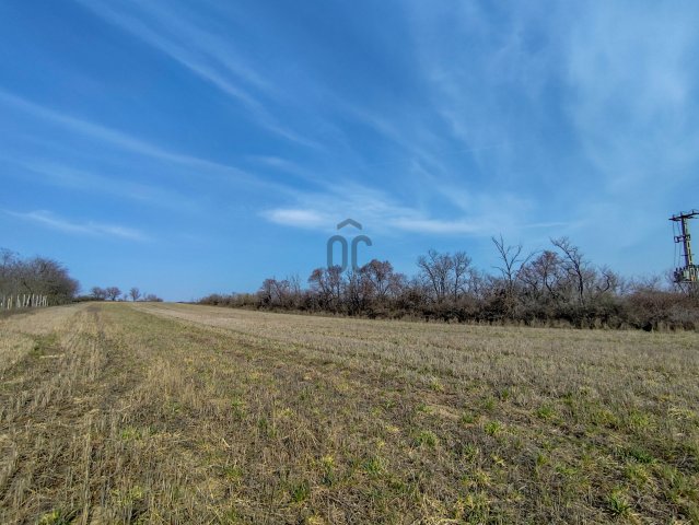 Eladó mezogazdasagi ingatlan, Magyaralmáson 10.3 M Ft