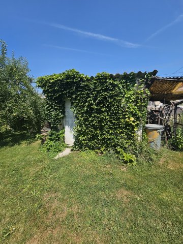 Eladó családi ház, Pápán 55.9 M Ft, 2+1 szobás