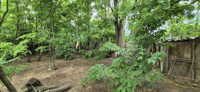 Eladó mezogazdasagi ingatlan, Gyálon 8.99 M Ft