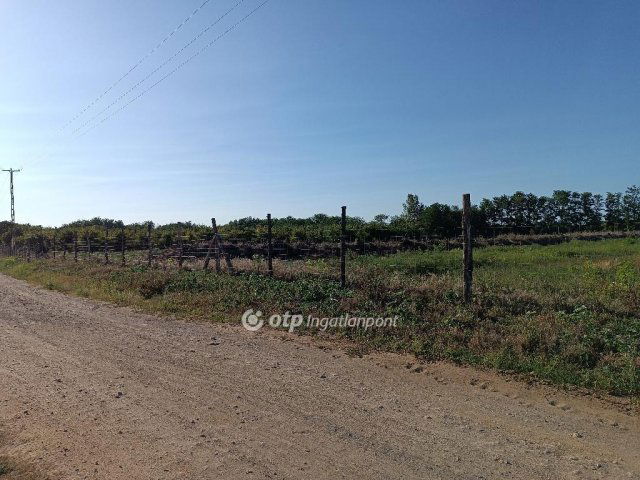 Eladó telek, Nyíregyházán 52.5 M Ft / költözzbe.hu