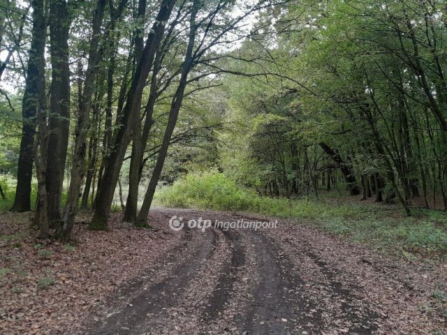 Eladó mezogazdasagi ingatlan, Tarjánon 38 M Ft