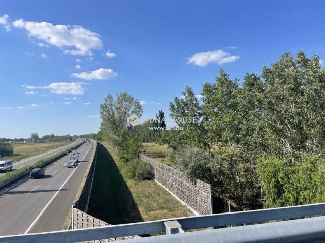 Eladó mezogazdasagi ingatlan, Szegeden 3.5 M Ft
