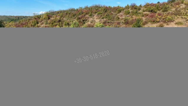 Eladó hotel, Kisecseten 109.9 M Ft, 6 szobás