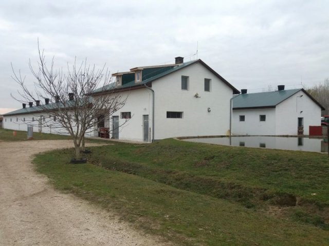Eladó mezogazdasagi ingatlan, Újlengyelen 200 M Ft