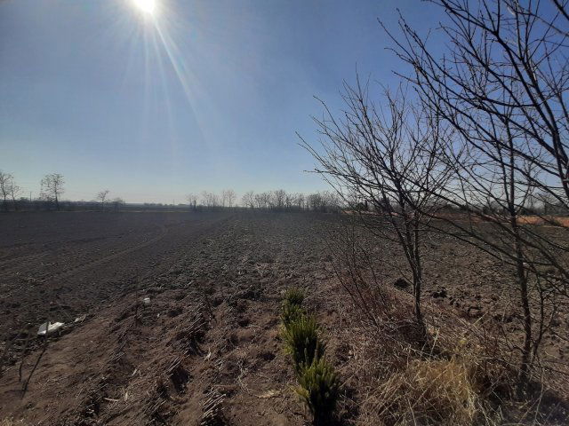 Eladó családi ház, Tárkányban 8.5 M Ft, 2 szobás