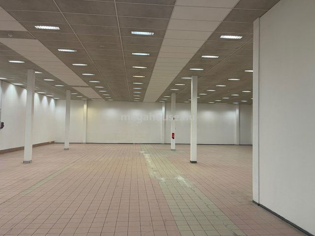 Kiadó ipari ingatlan, Budaörsön 1396 E Ft / hó